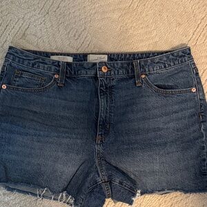 Universal Thread Indigo Frayed Hem Denim Shorts